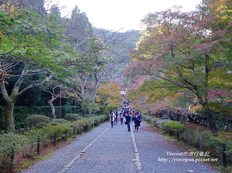 紅葉の馬場