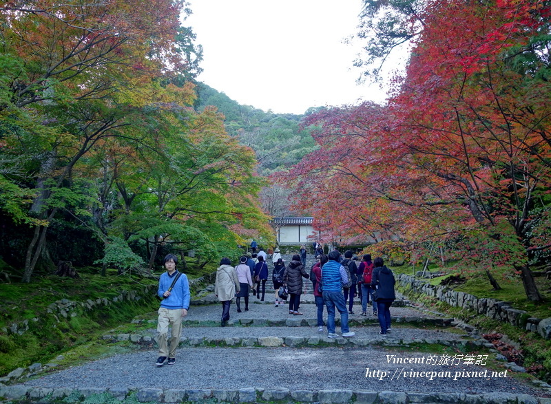 紅葉の馬場 遊客