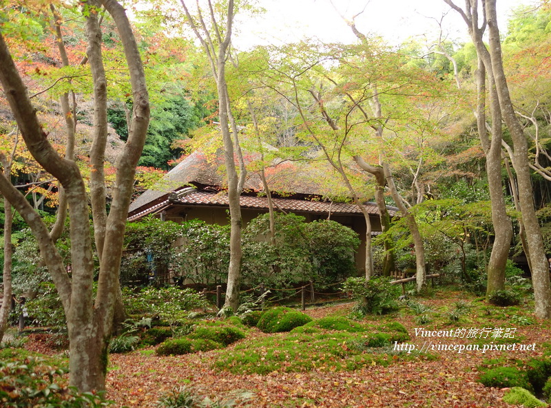 祇王寺 本堂建物