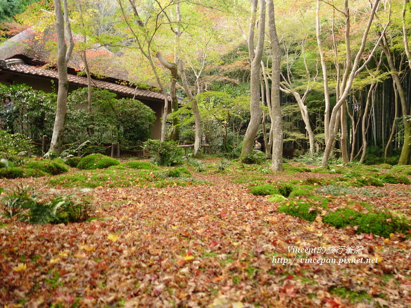 祇王寺 本堂