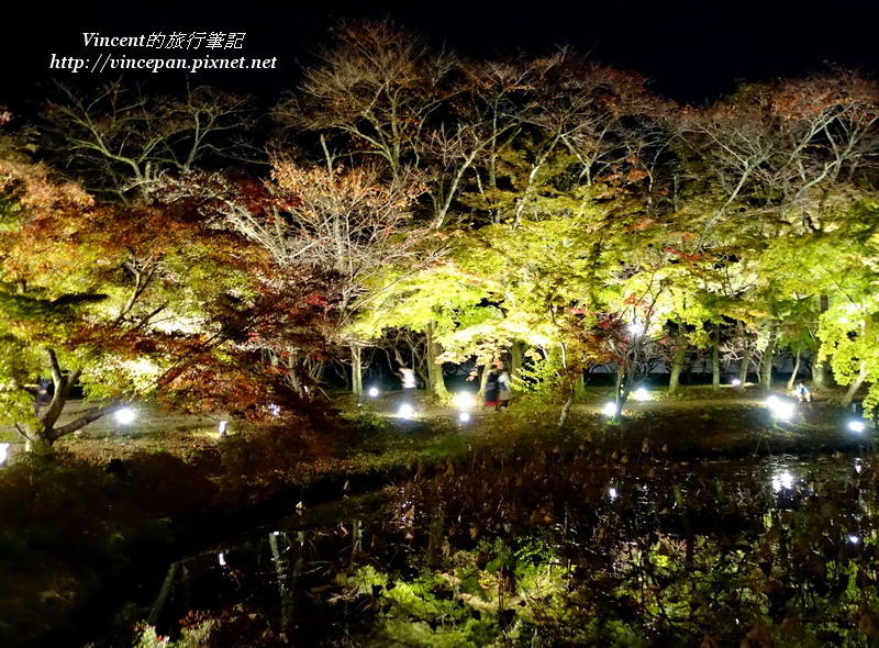 大沢池 點燈 蓮花池