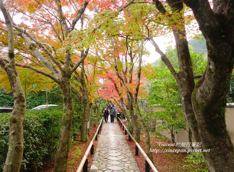 光悅寺參道