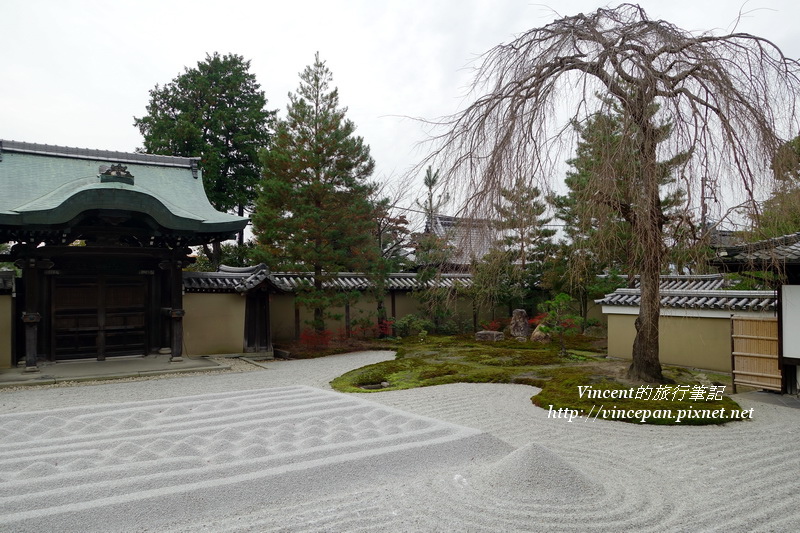 高台寺銀沙灘 樹 高台寺銀沙灘 樹