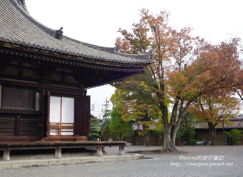 三十三間堂 紅葉樹