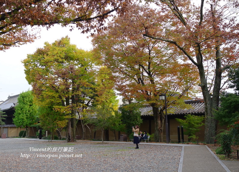 三十三間堂 紅葉