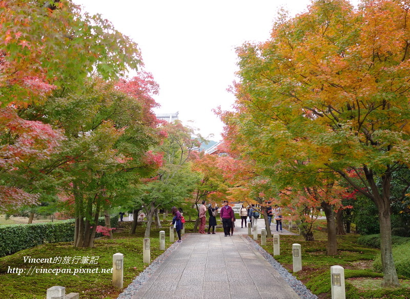 智積院 楓葉隧道2