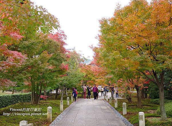 智積院 楓葉隧道2