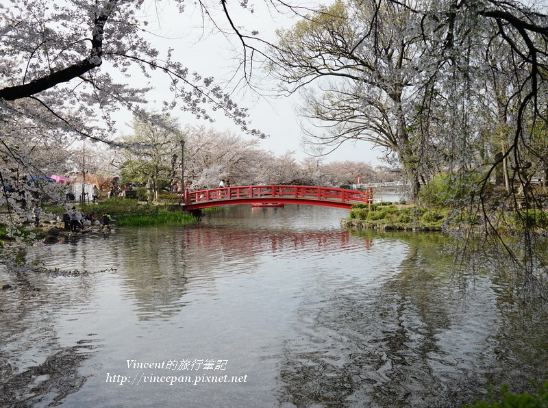 臥龍公園 橋