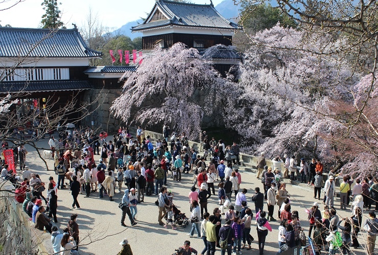 上田城櫻花祭