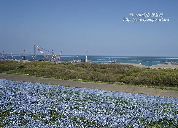 花海 港口