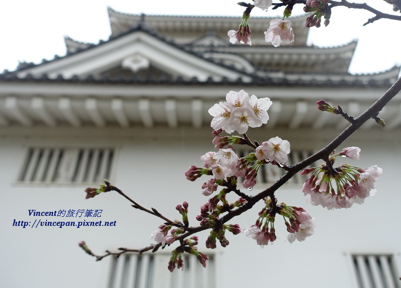 福山城 櫻花