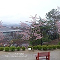 千光寺公園 櫻花