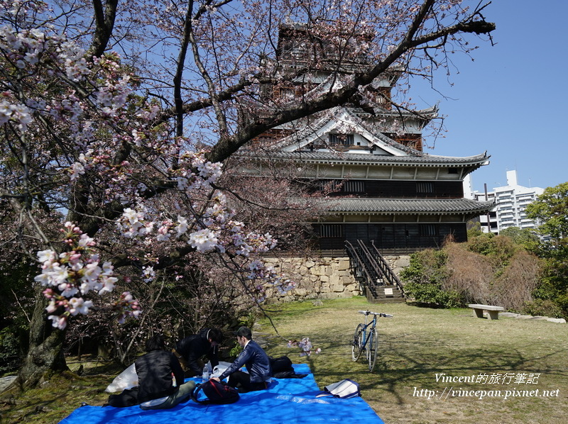 天守閣旁賞櫻花