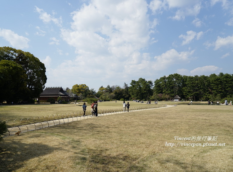 後樂園 草坪