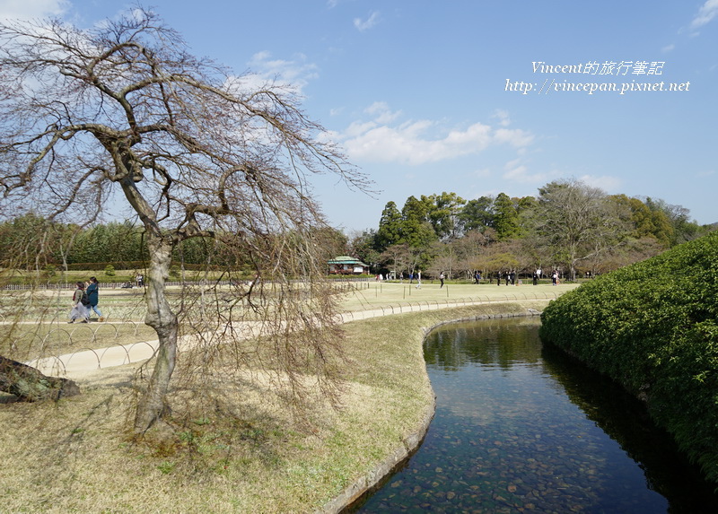 櫻花樹水道