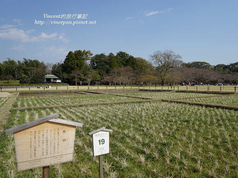 井田