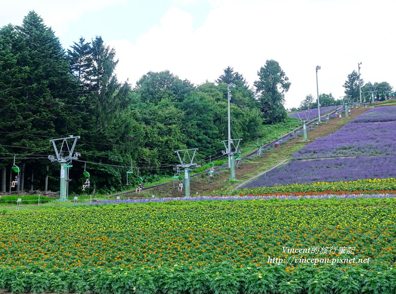 北星山町營薰衣草園