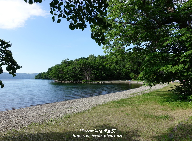 和琴半島 沙灘 樹