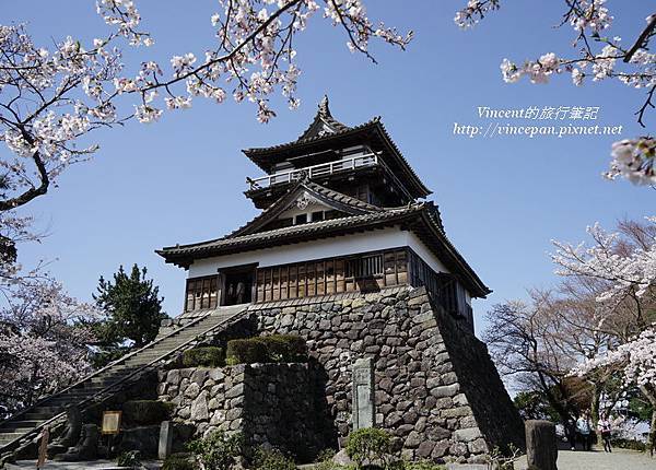 丸岡城 櫻花