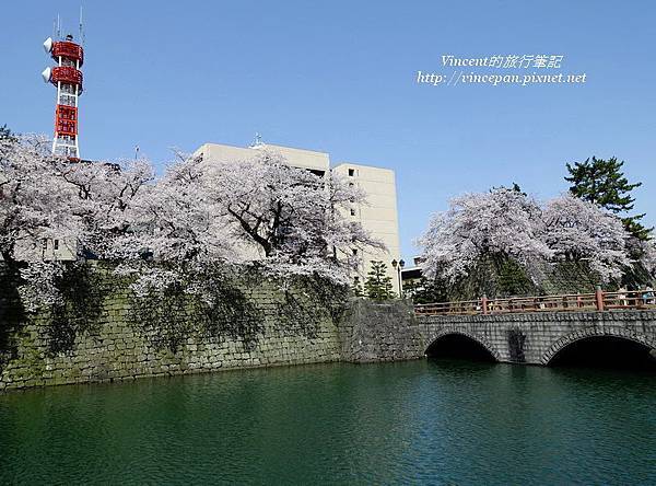 「御本城橋」櫻花