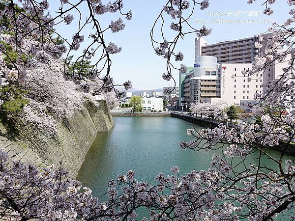 櫻花與護城河