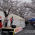 越前湊櫻花祭 舞台