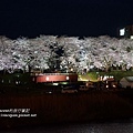 足羽川夜櫻 屋台