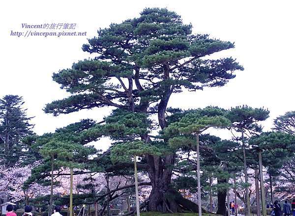 金澤兼六園 Vincent 的旅行筆記 痞客邦 金澤兼六園 Vincent 的旅行筆記 痞客邦