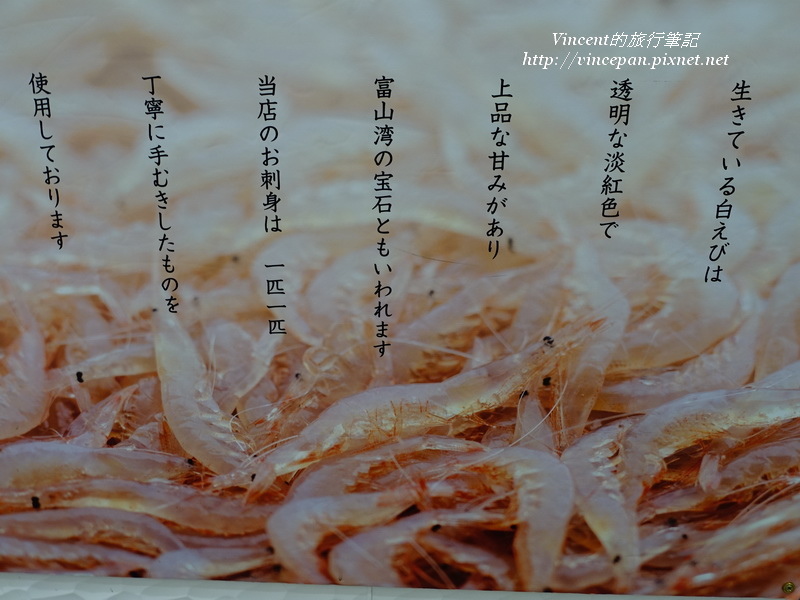 富山灣白蝦