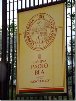 the-paolo-bea-winery