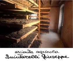 quintarelli (1)