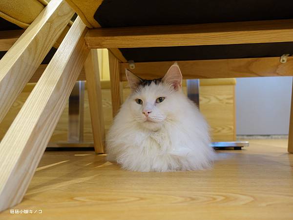 DSC04117.JPG DSC04117.JPG