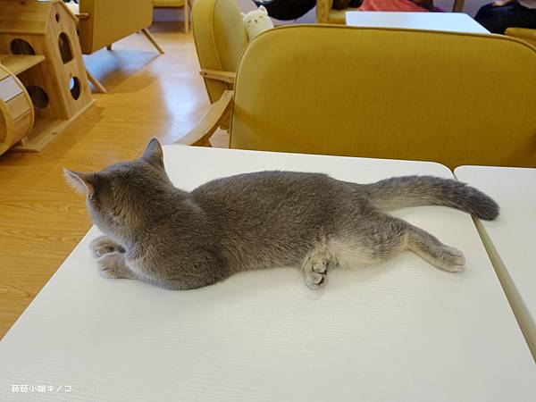 DSC04120.JPG DSC04120.JPG