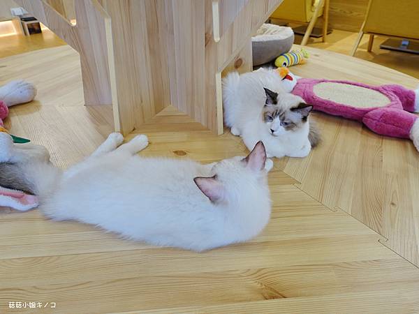 DSC04126.JPG DSC04126.JPG