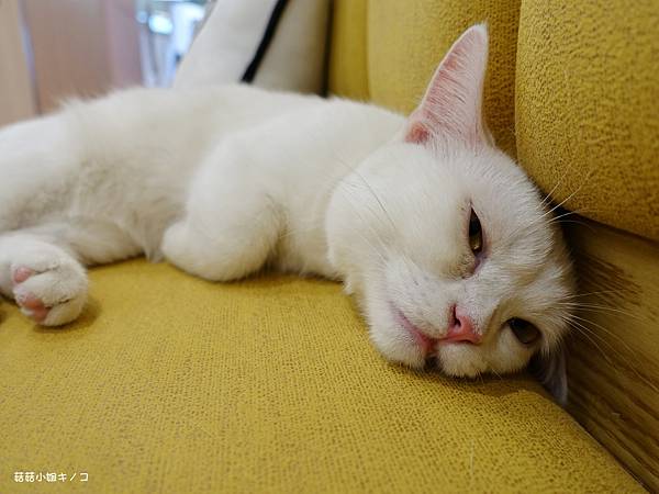 DSC04136.JPG DSC04136.JPG