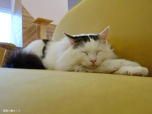 DSC04131.JPG DSC04131.JPG