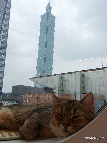 DSC04138.JPG DSC04138.JPG