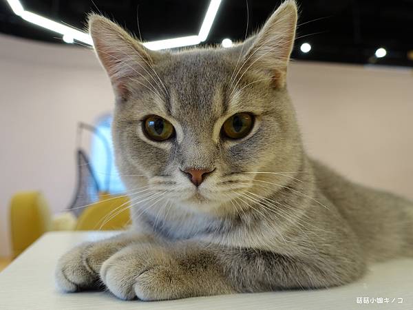 DSC04123.JPG DSC04123.JPG