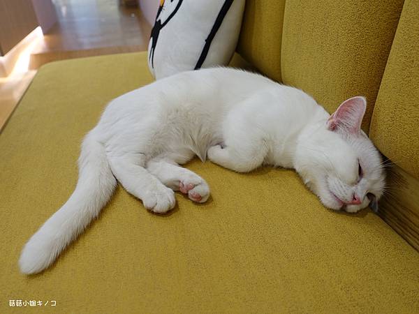 DSC04134.JPG DSC04134.JPG