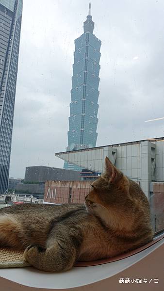 DSC04147.JPG DSC04147.JPG