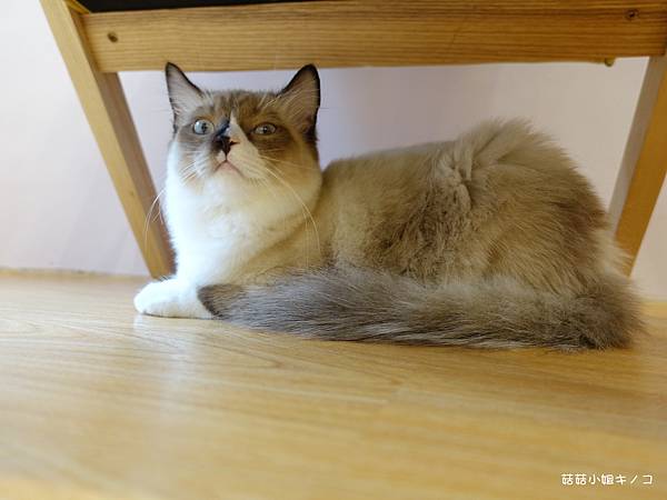 DSC04142.JPG DSC04142.JPG