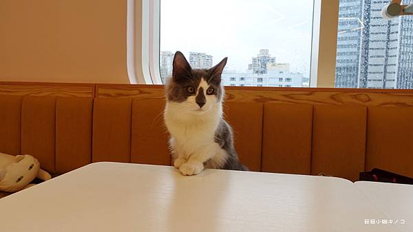 DSC04152.JPG DSC04152.JPG