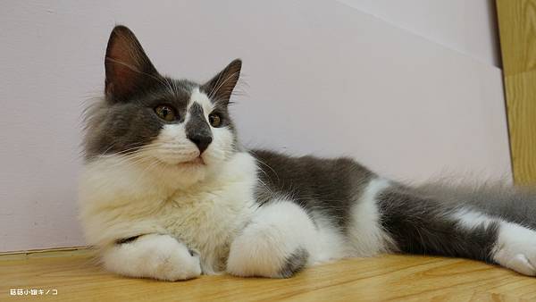 DSC04159.JPG DSC04159.JPG