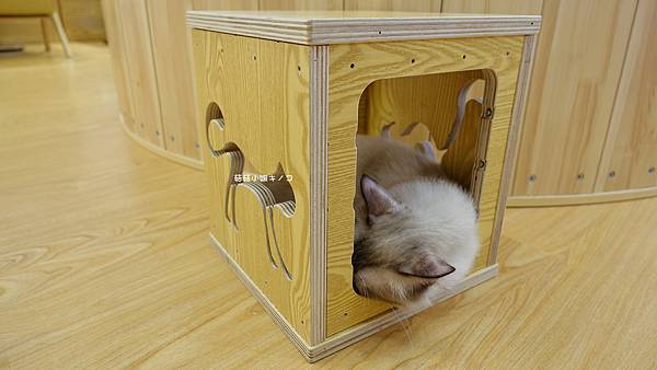 DSC04164.JPG DSC04164.JPG