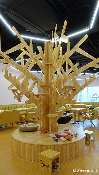 DSC04168.JPG DSC04168.JPG