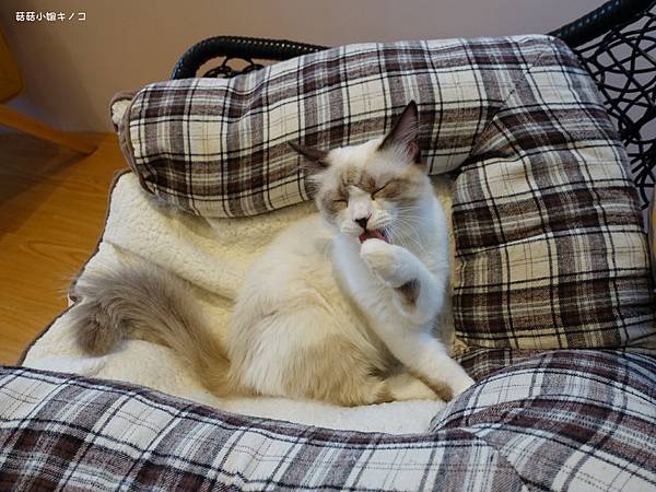 DSC04193.JPG DSC04193.JPG