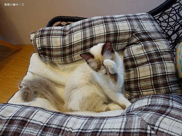 DSC04199.JPG DSC04199.JPG