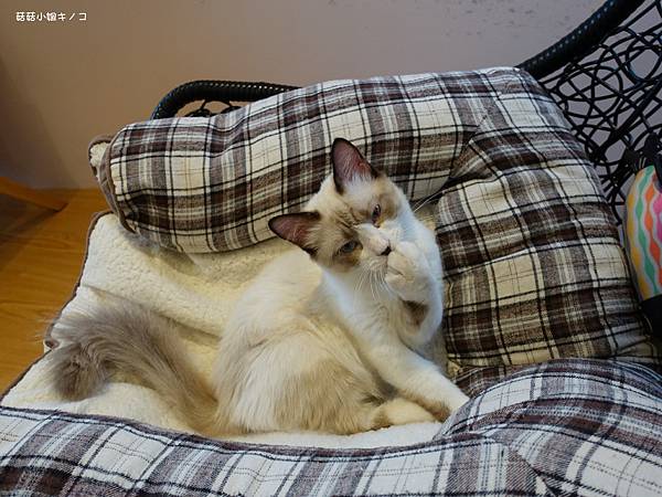 DSC04209.JPG DSC04209.JPG