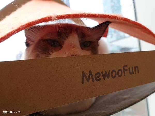 DSC04232.JPG DSC04232.JPG