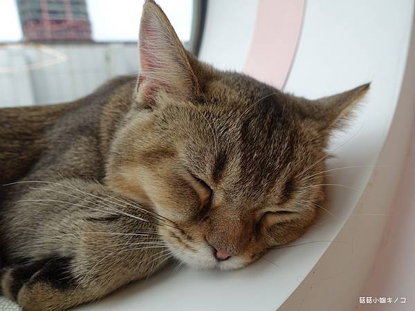 DSC04236.JPG DSC04236.JPG